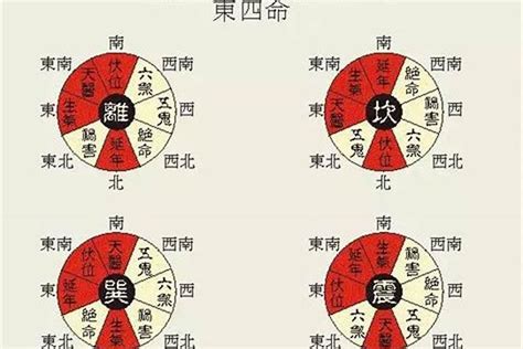 东四命|东四命卦和西四命卦的速查表